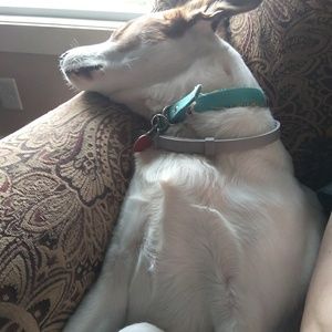 Meet your Posher, Melody